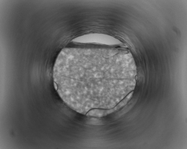 X0000116060285200912312317