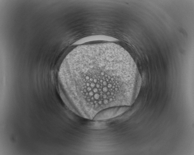 X0000116060286200912312317