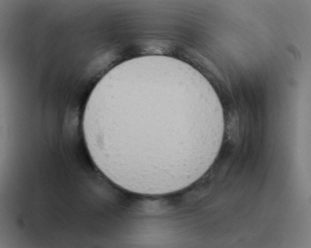 X0000116060314200912312317