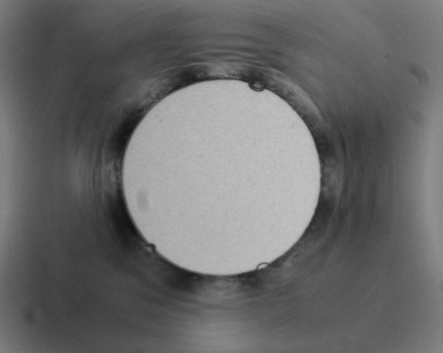 X0000116060329200912312316