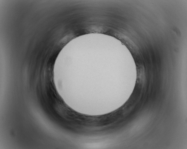 X0000116060334200912312316