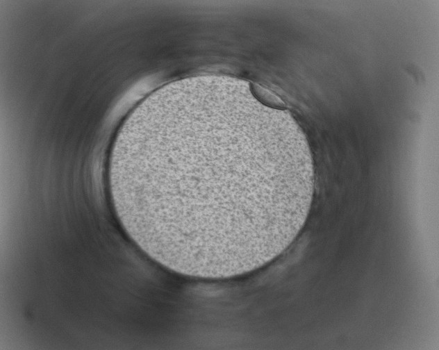 X0000116060341200912312316