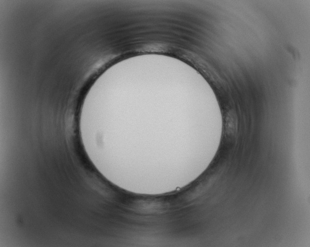 X0000116060351200912312316