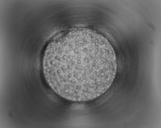 X0000116060354200912312316