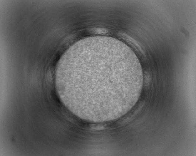 X0000116060373200912312316