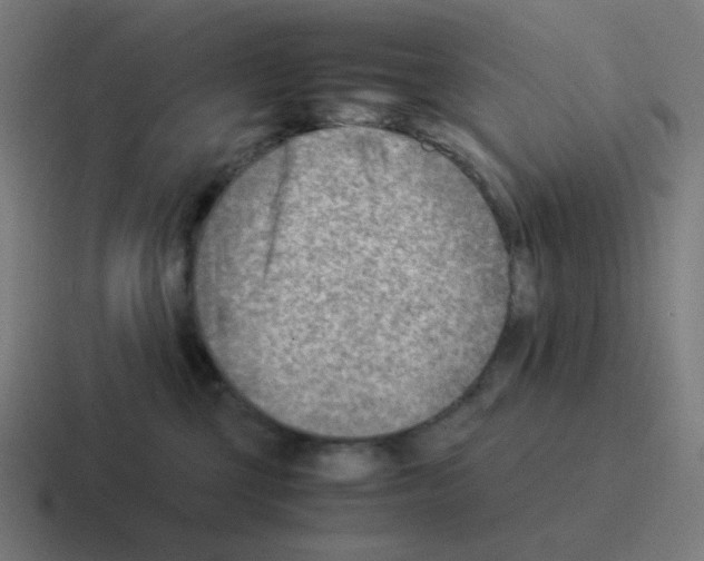 X0000116060377200912312316
