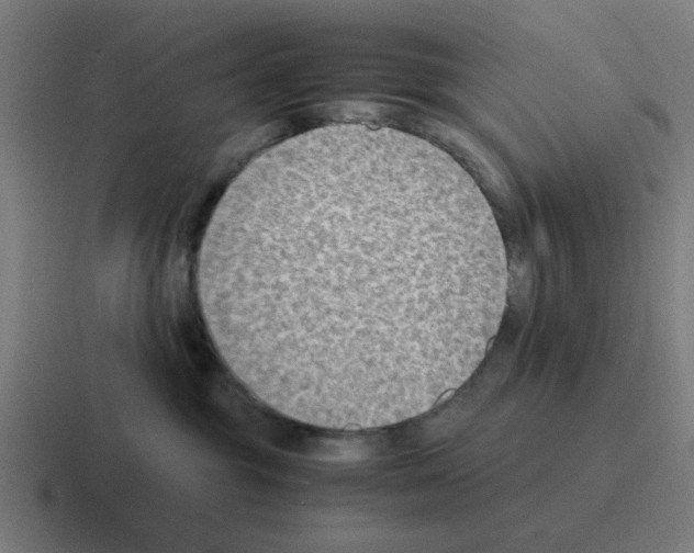 X0000116060381200912312316