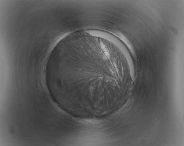 X0000116060385200912312316