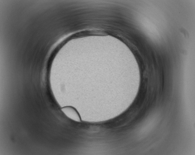 X0000116060388200912312316