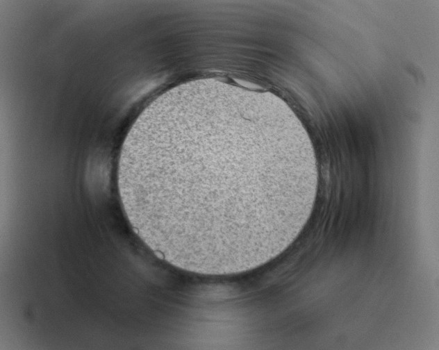 X0000116060404200912312315