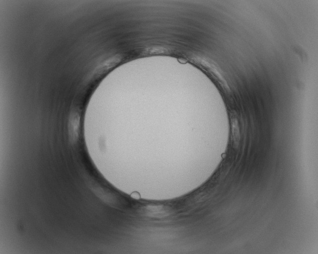 X0000116060406200912312315