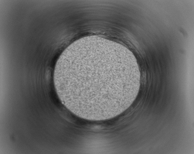 X0000116060412200912312315