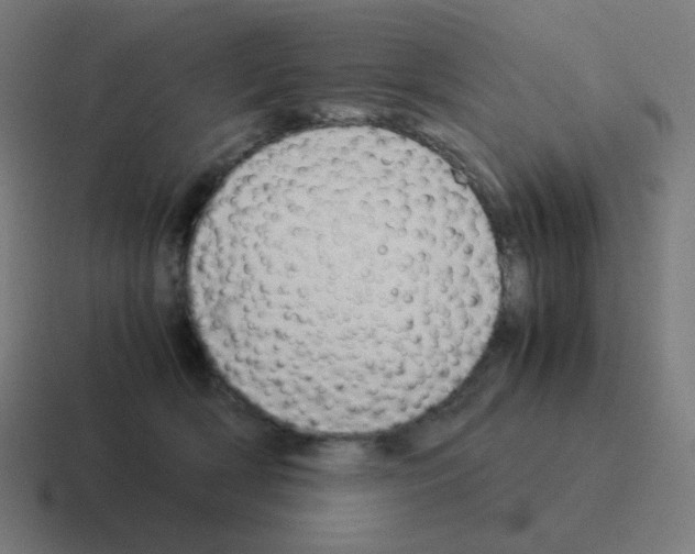 X0000116060418200912312315