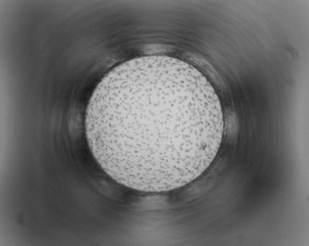 X0000116060426200912312315