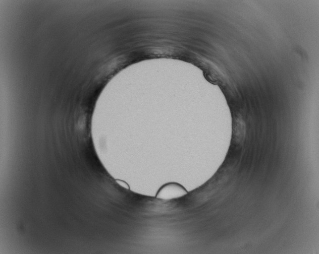X0000116060428200912312315