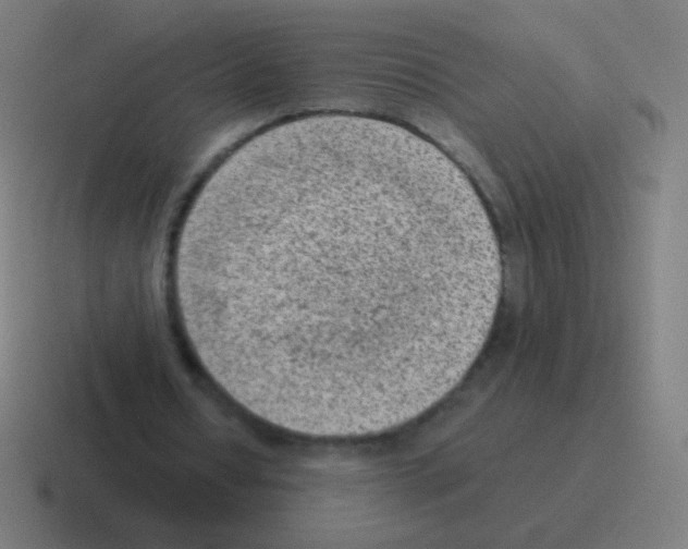 X0000116060434200912312314