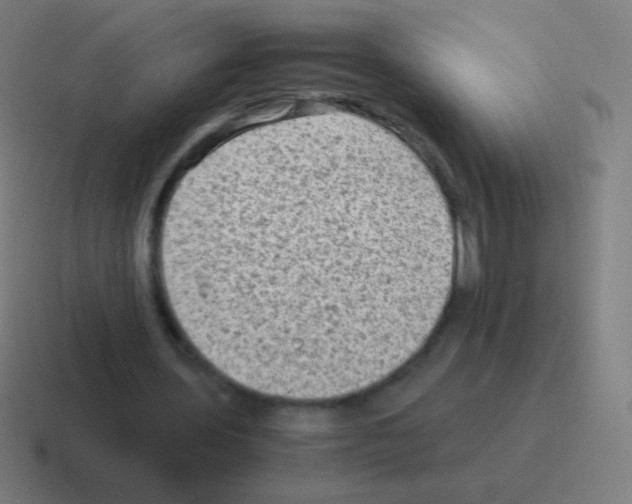 X0000116060435200912312314