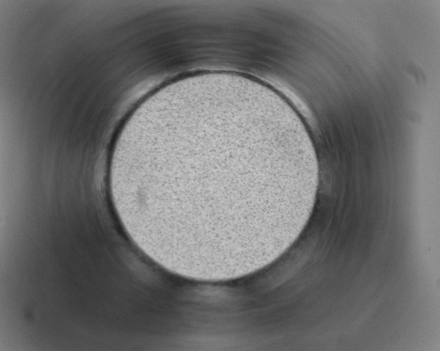 X0000116060437200912312314