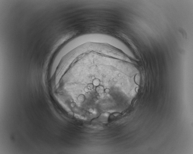 X0000116060443200912312315