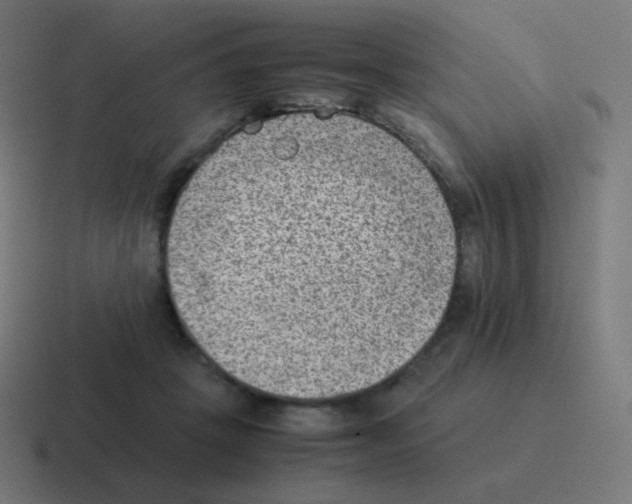 X0000116060457200912312315