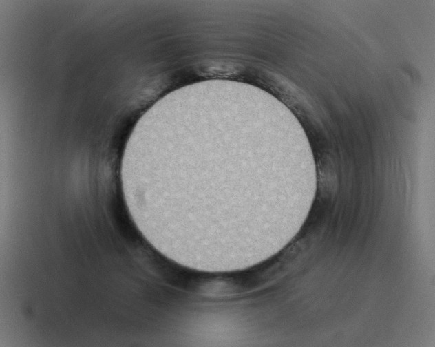 X0000116060460200912312315