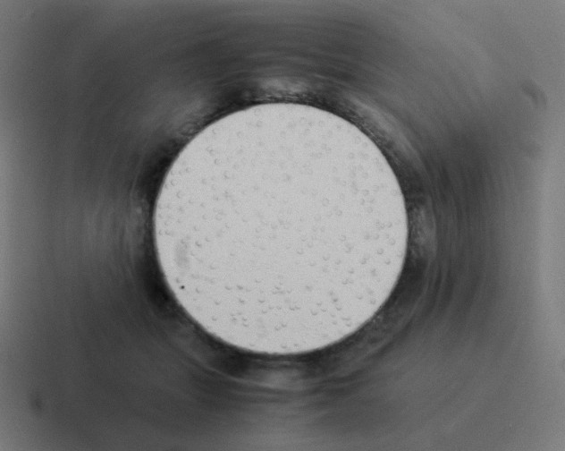 X0000116060463200912312315
