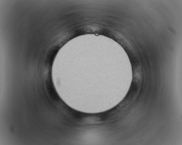 X0000116060468200912312315