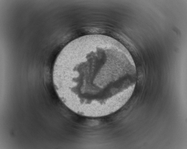 X0000116060469200912312315