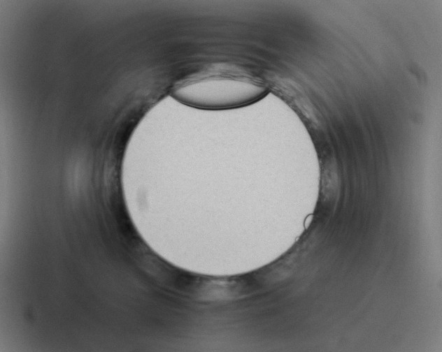X0000116060473200912312315