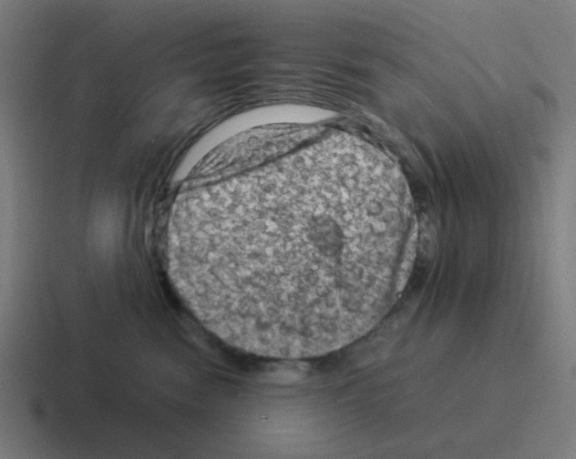 X0000116060474200912312315