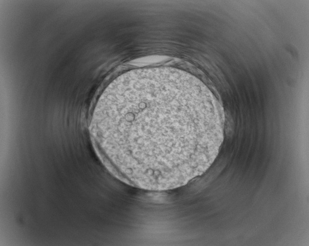 X0000116060478200912312315