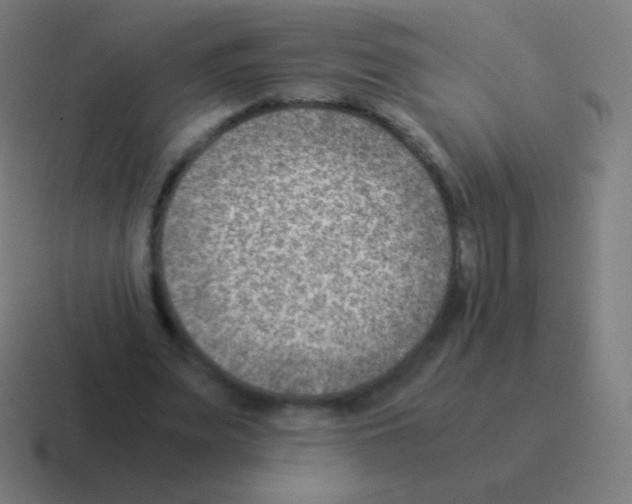 X0000116060487200912312314