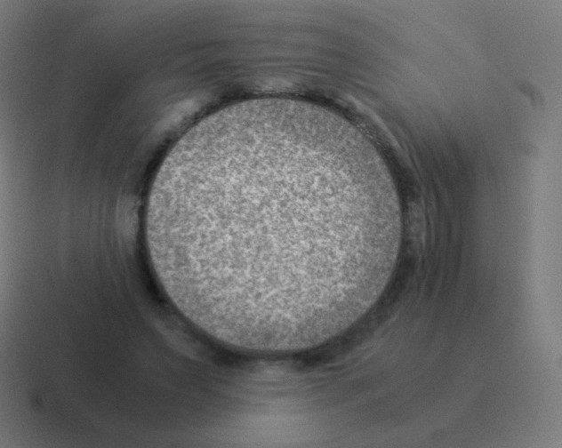 X0000116060495200912312314