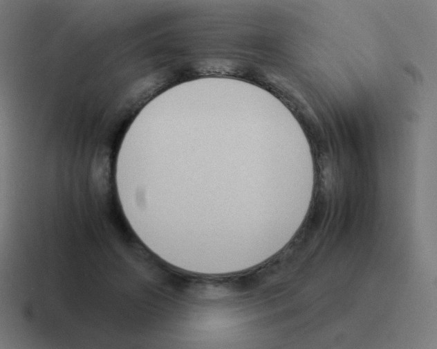 X0000116060498200912312314