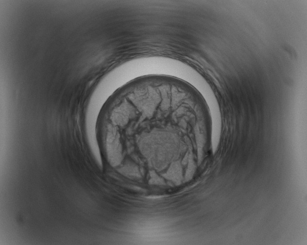 X0000116060520200912312314