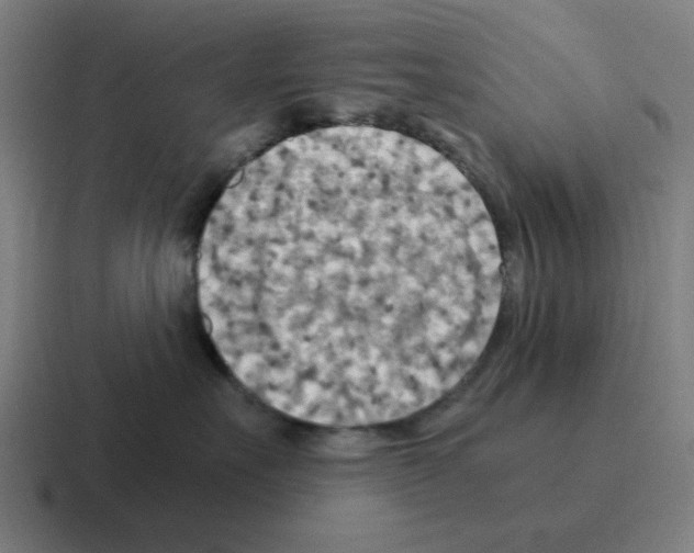 X0000116060527200912312314