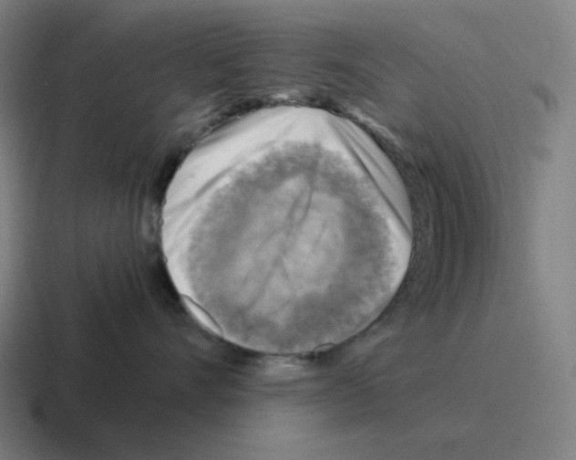 X0000116060528200912312314