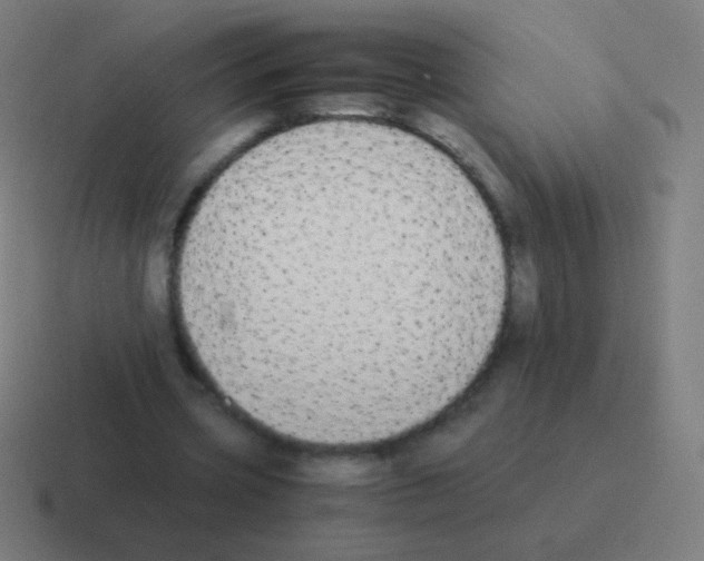 X0000116060533200912312313