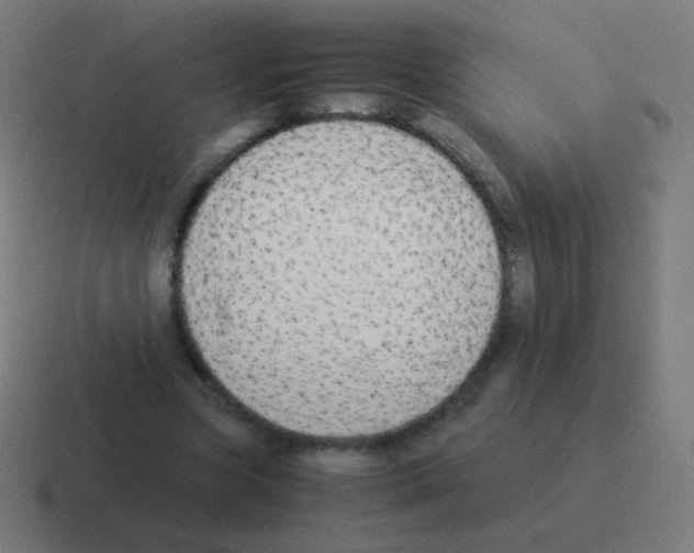 X0000116060537200912312313