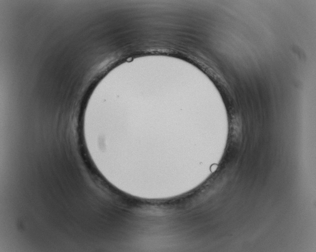 X0000116060538200912312313