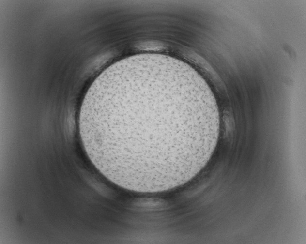 X0000116060541200912312313