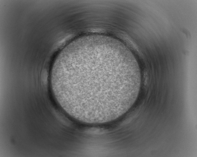 X0000116060542200912312313