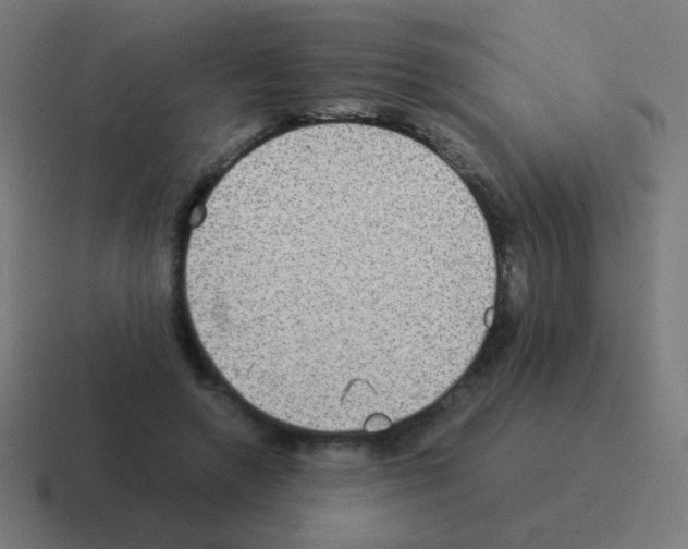 X0000116060546200912312313