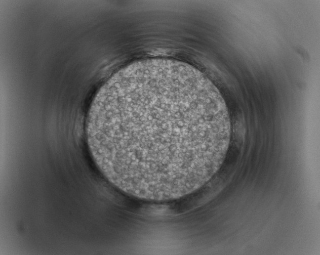 X0000116060554200912312314