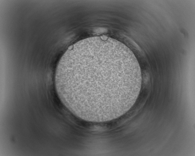 X0000116060565200912312314