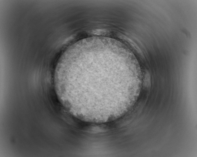 X0000116060569200912312314