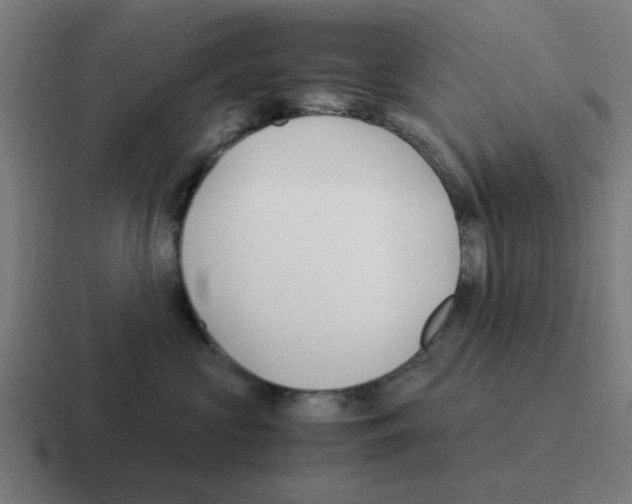 X0000116060573200912312314