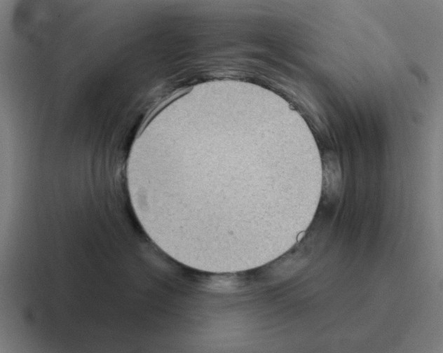 X0000116060574200912312314