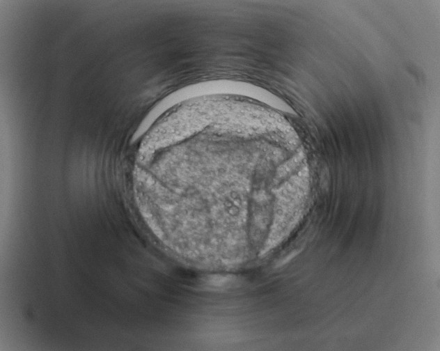 X0000116060575200912312314