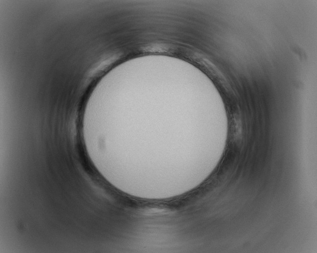X0000116060586200912312313